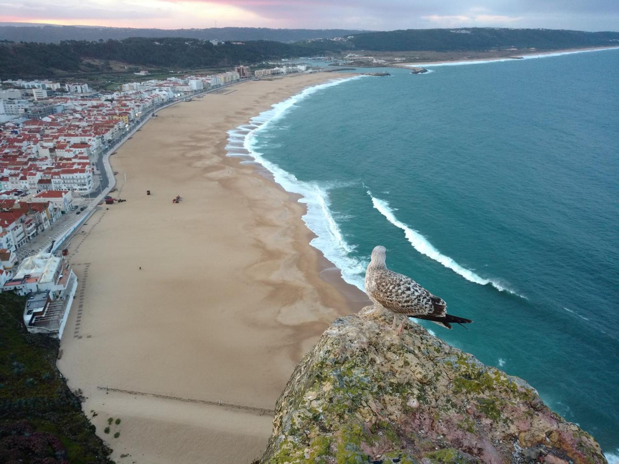 Porto de MósCasa Dos Vales 11别墅 外观 照片
